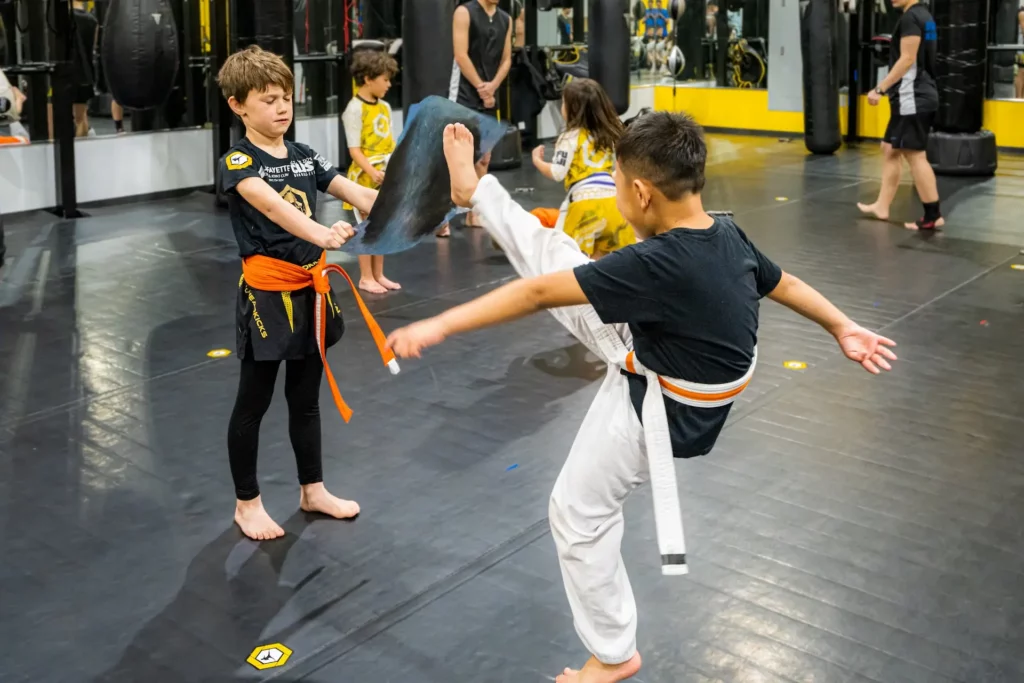 Kids Martial Arts Classes in Lafayette