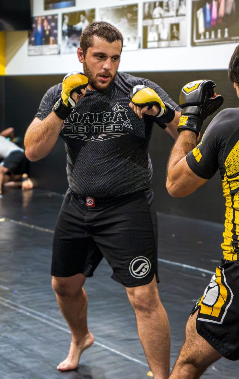 TEAM HEADKICKS ADULT INSTRUCTORS